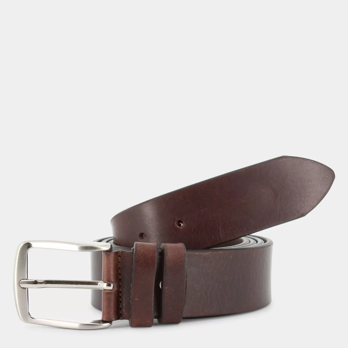 DG-I24-204-T.MORO- CINTURE^PIETRINI LAB Fashion