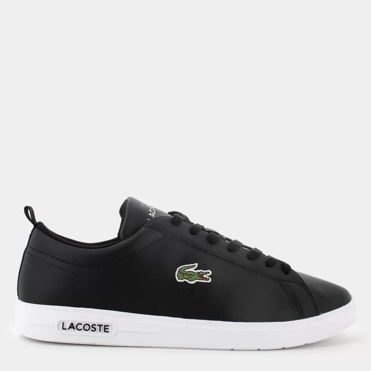 48SMA0112CARNA BASEBLK/WHT- SPORTIVE^LACOSTE Online