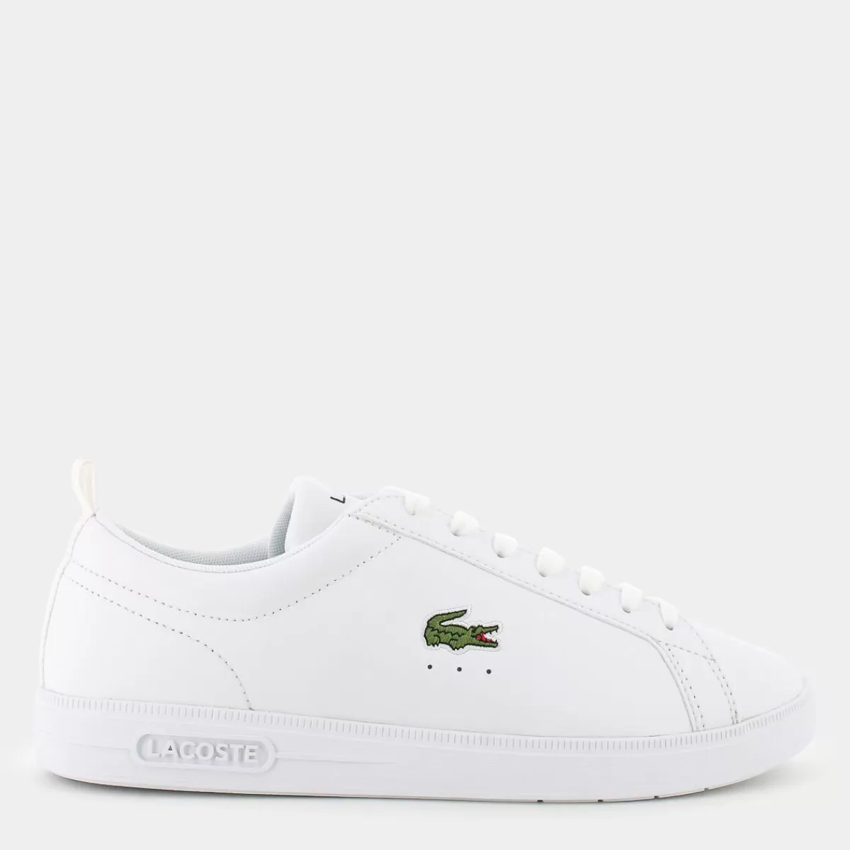 48SMA0112CARNA BASEWHT/WHT- SPORTIVE^LACOSTE Online