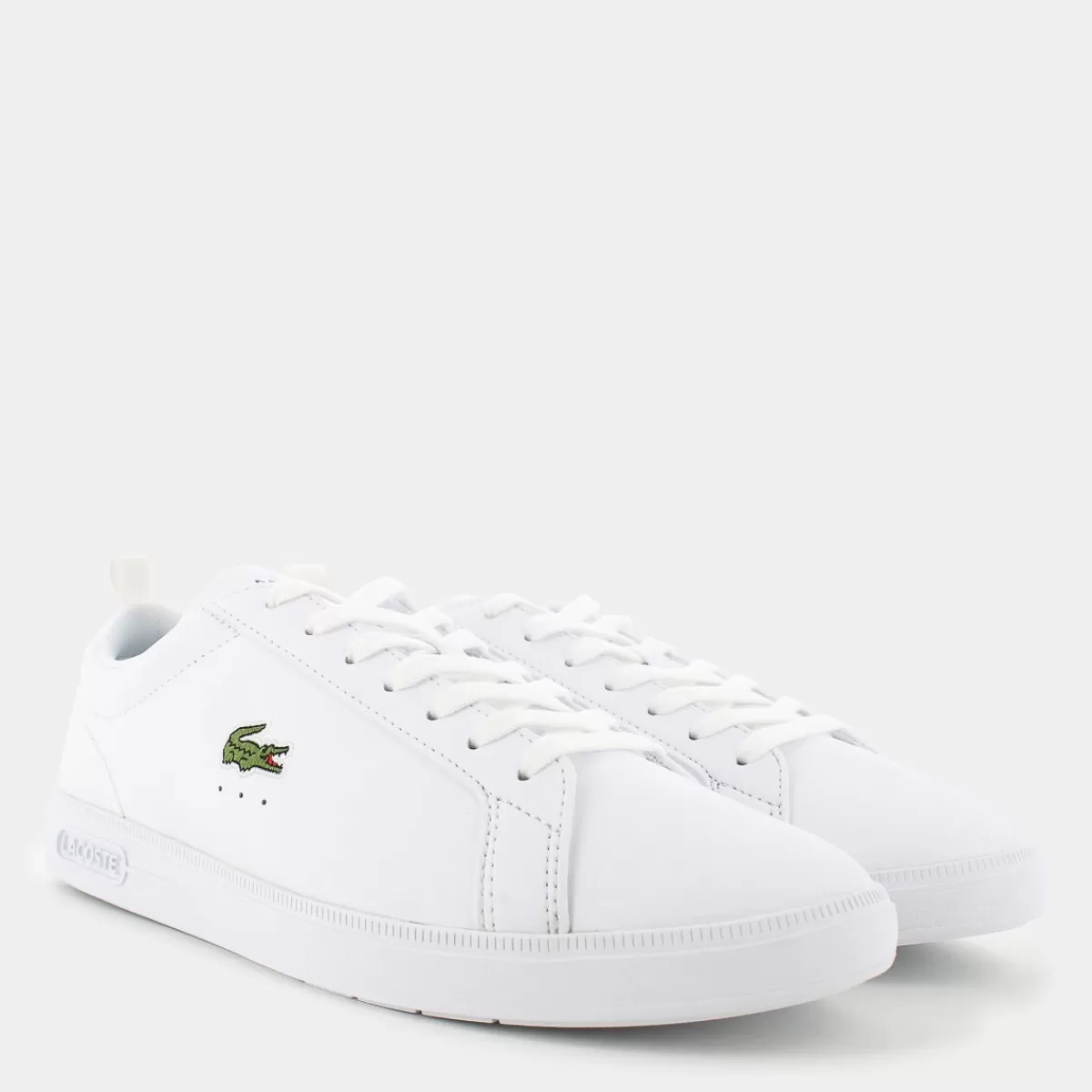 48SMA0112CARNA BASEWHT/WHT- SPORTIVE^LACOSTE Online