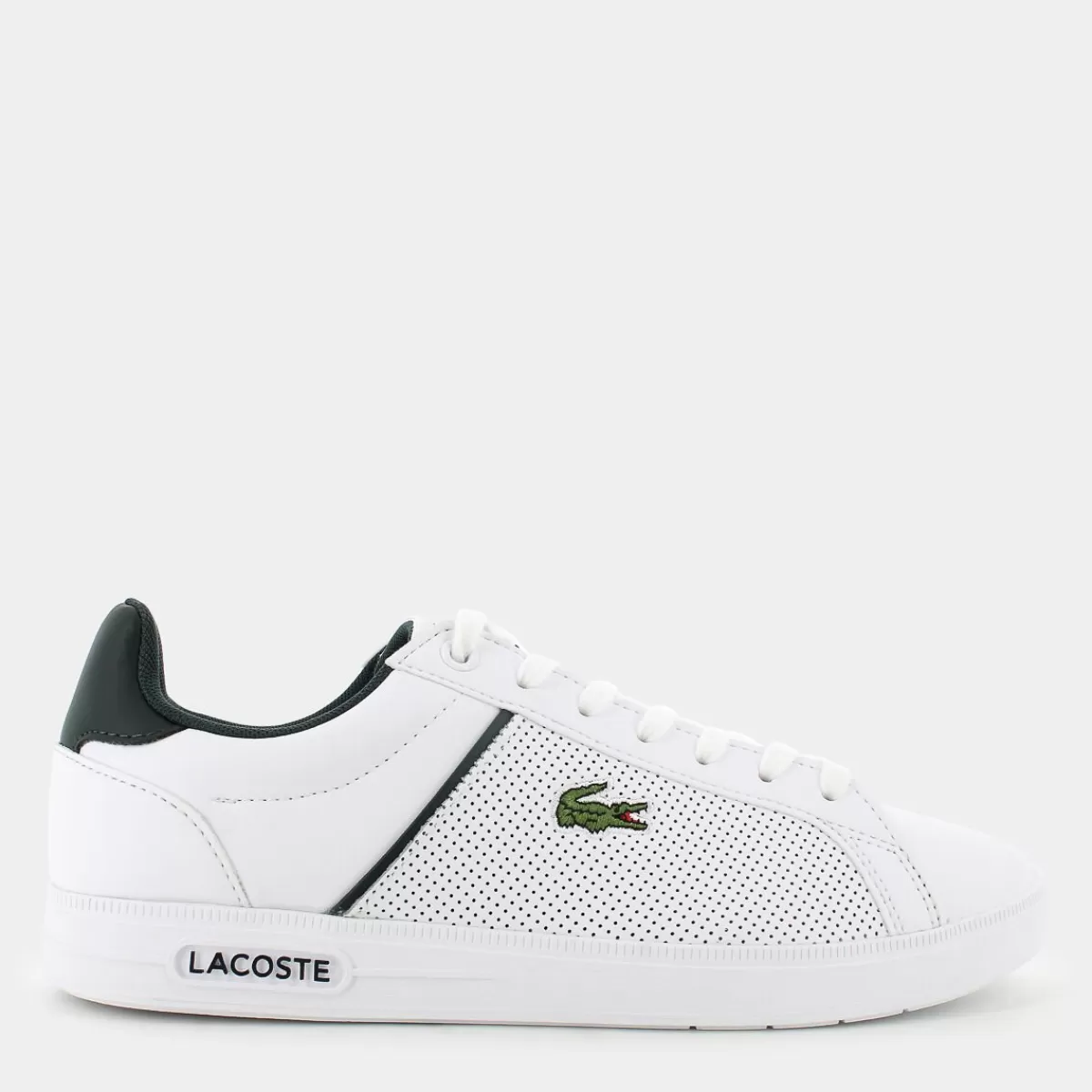 48SMA0113EURO BASEWHT/DK GRN- SPORTIVE^LACOSTE Store