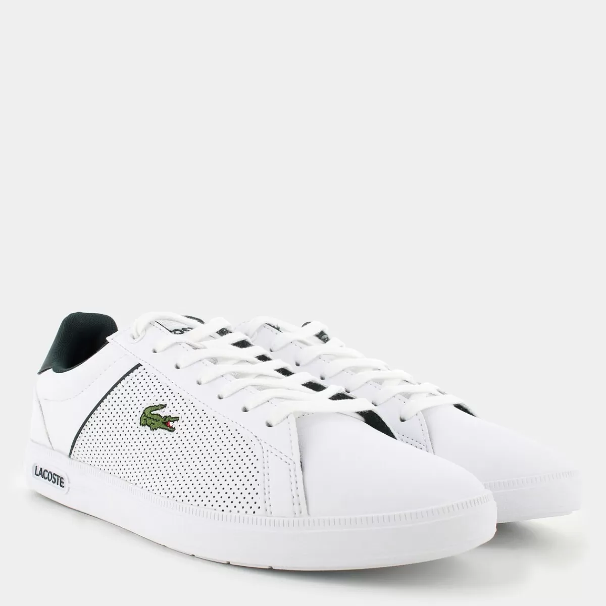 48SMA0113EURO BASEWHT/DK GRN- SPORTIVE^LACOSTE Store